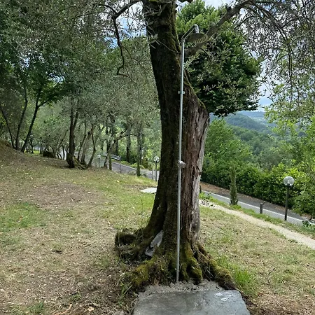 Lilla Francigena *